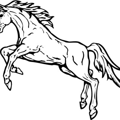 HORSE037 Thumbnail