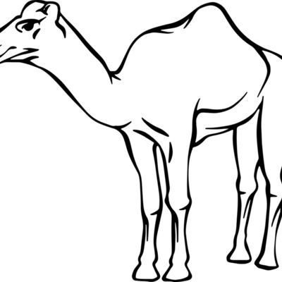 Camel   Clipart 2 Thumbnail