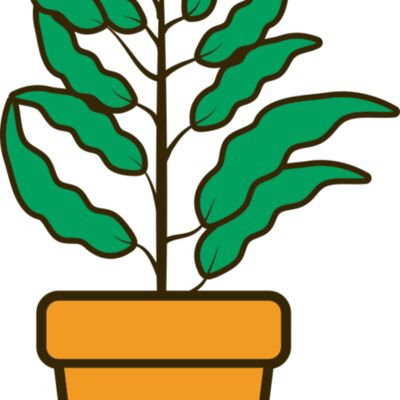 Plant 2 Thumbnail