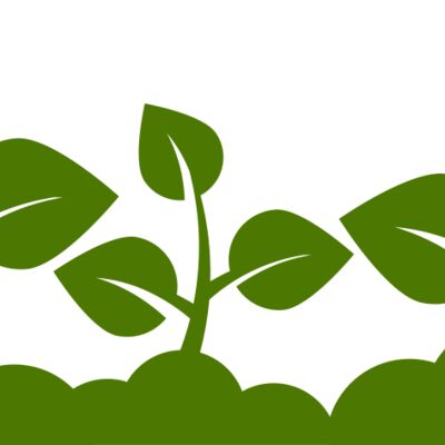 Plant Leaves Thumbnail