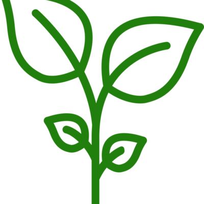 Plant Thumbnail